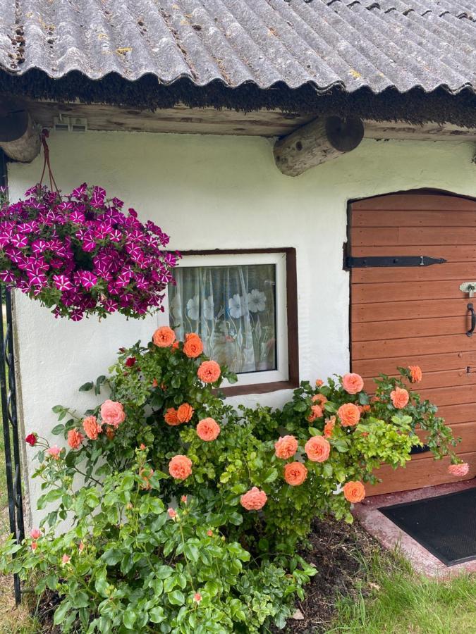 Searooms Lapmežciems Dış mekan fotoğraf
