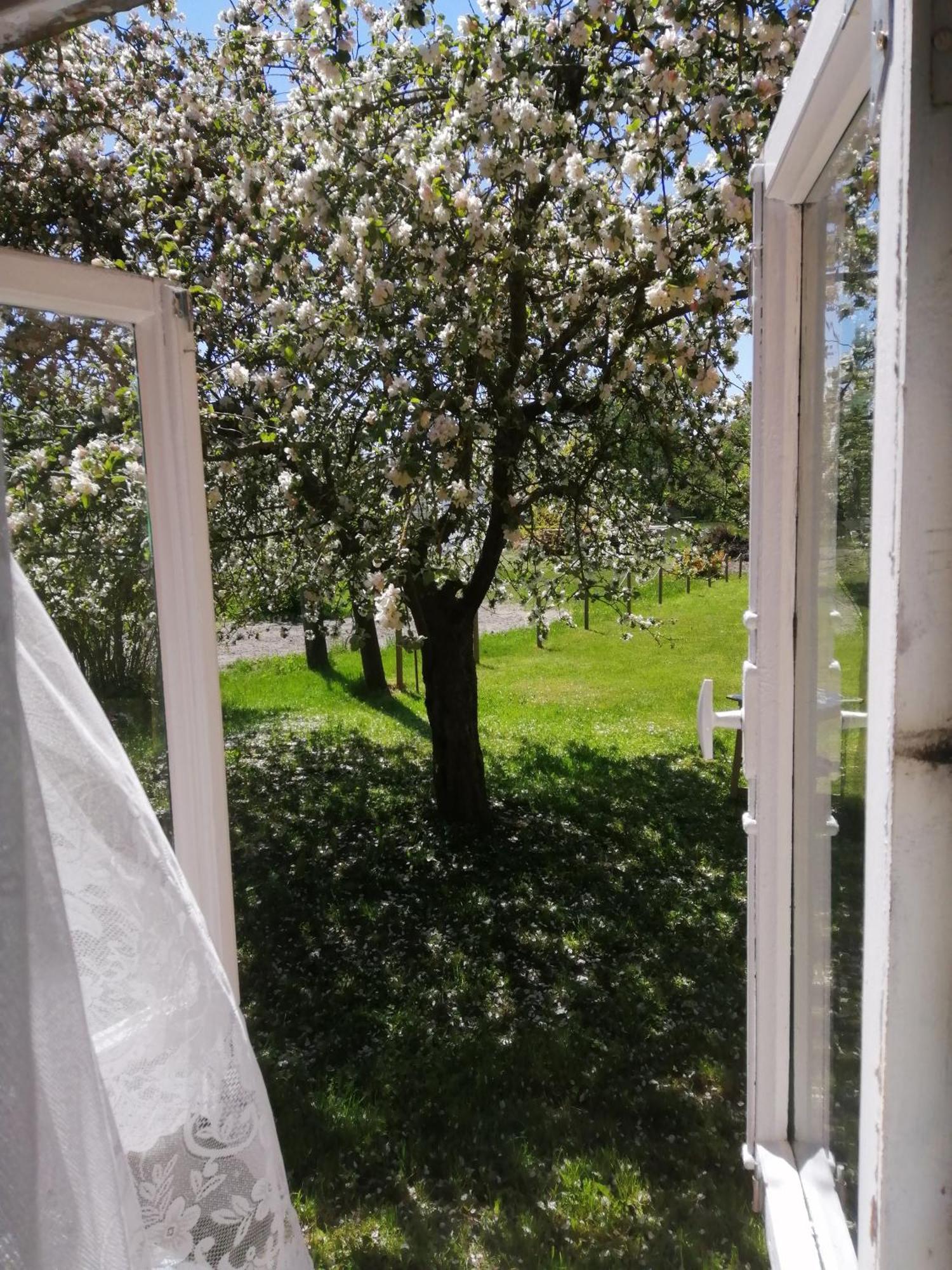 Searooms Lapmežciems Oda fotoğraf