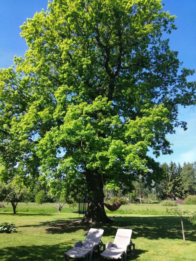 Searooms Lapmežciems Dış mekan fotoğraf
